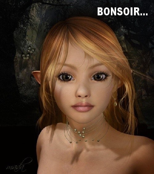 bonsoir